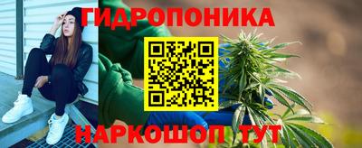 гашик Кандалакша