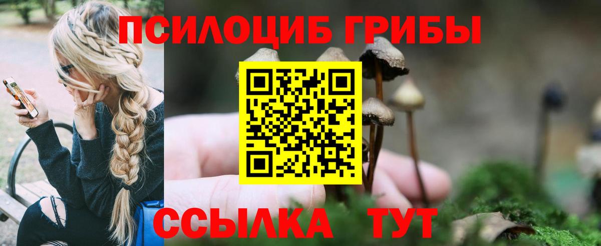 купить   Вход с VPN  Вологда  Галлюциногенные грибы Psilocybine cubensis  Галлюциногенные грибы Psilocybine cubensis 